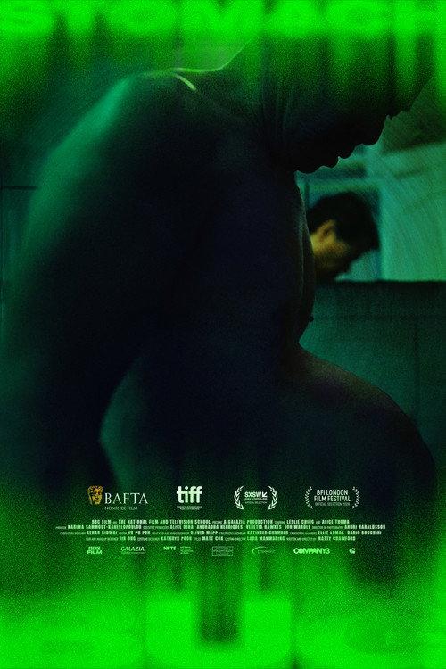 Stomach Bug 2024 official movie poster
