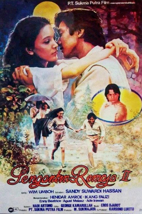Teenage Bride II 1982 official movie poster