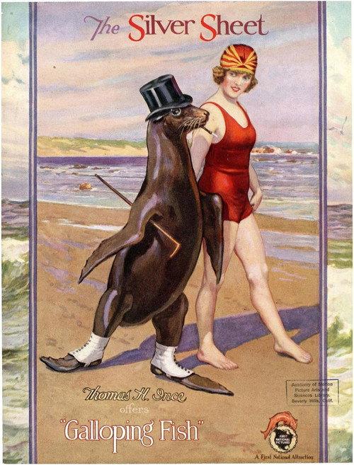 The Galloping Fish 1924 official movie poster