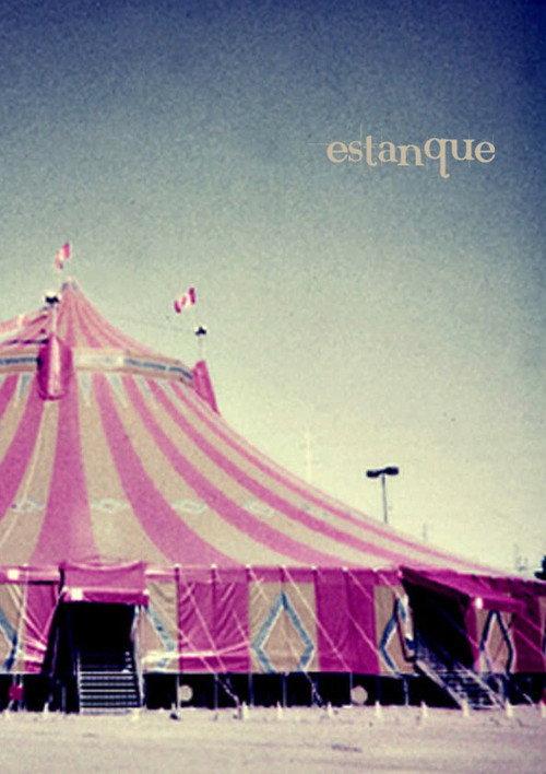Estanque 2011 official movie poster