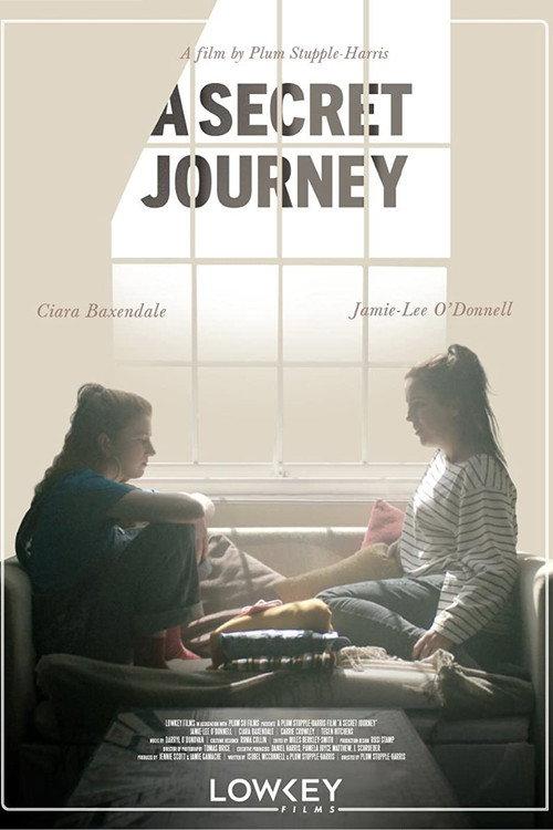 A Secret Journey  official movie poster