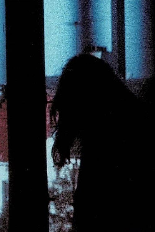 Window 1979 official movie poster