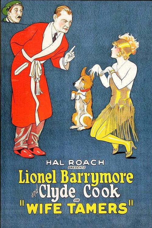 Wife Tamers 1926 official movie poster