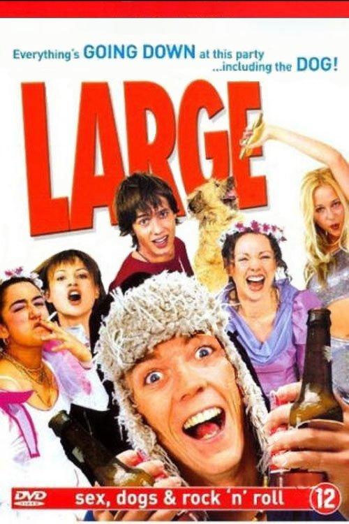 Large 2001 official movie poster
