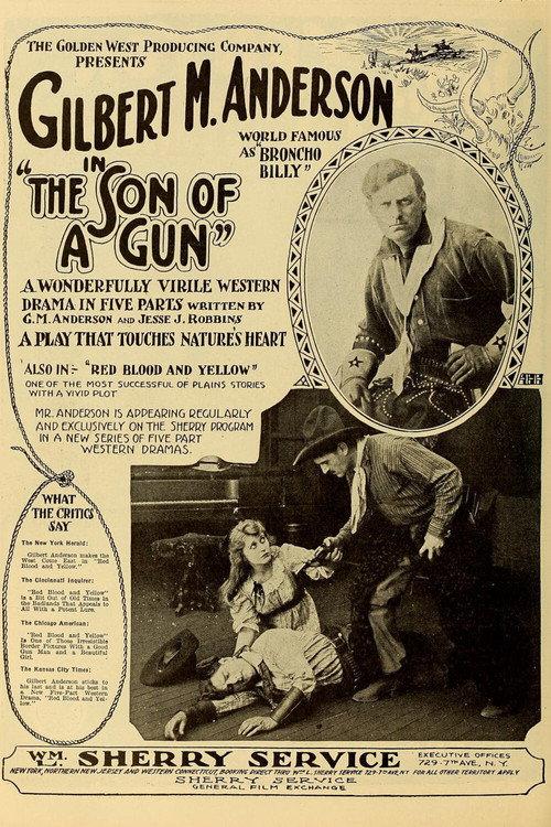 The Son-of-a-Gun 1919 official movie poster