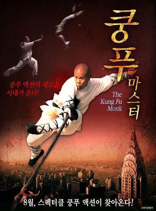 The Last Kung Fu Monk 2010 official movie poster