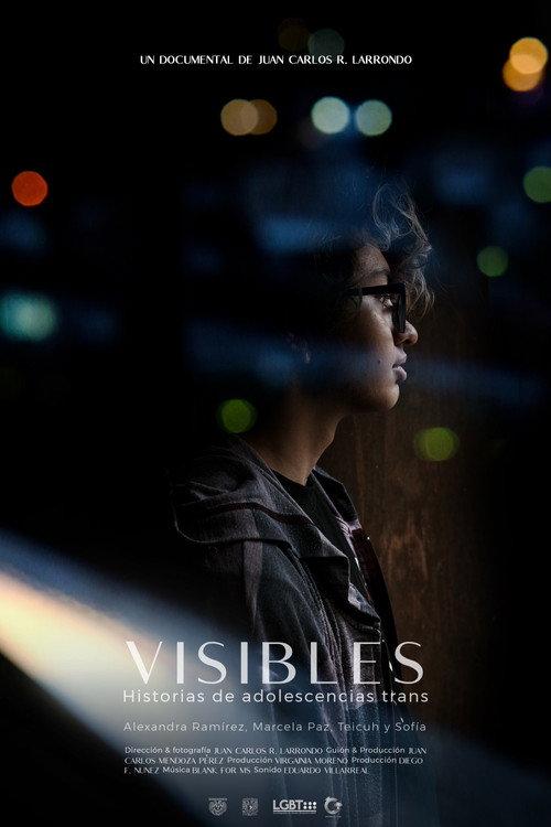 Visible: Transgender Youth Stories 2020 official movie poster