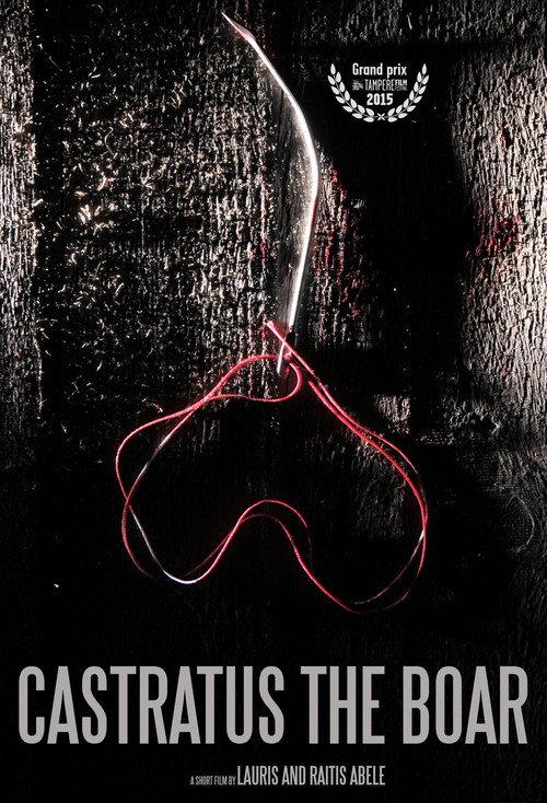 Castratus the Boar 2014 official movie poster