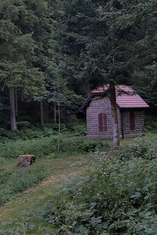 UBFO (Unidentified Black Forest Object) 2026 official movie poster