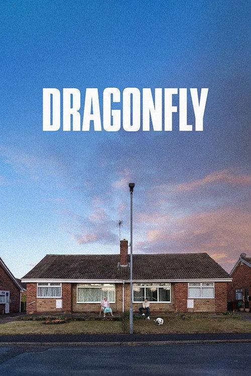 Dragonfly 2025 official movie poster