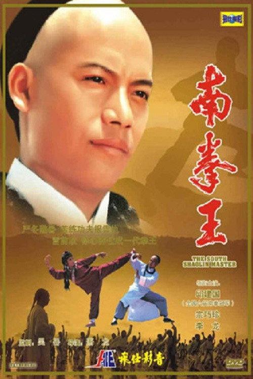 The South Shaolin Master 1984 official movie poster