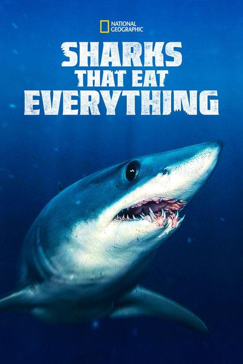 Sharks That Eat Everything 2022 official movie poster