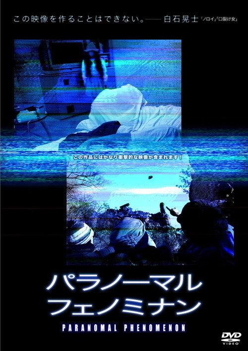 Paranormal Phenomenon 2010 official movie poster