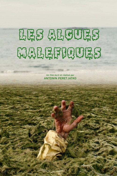 Evil Seaweed 2022 official movie poster