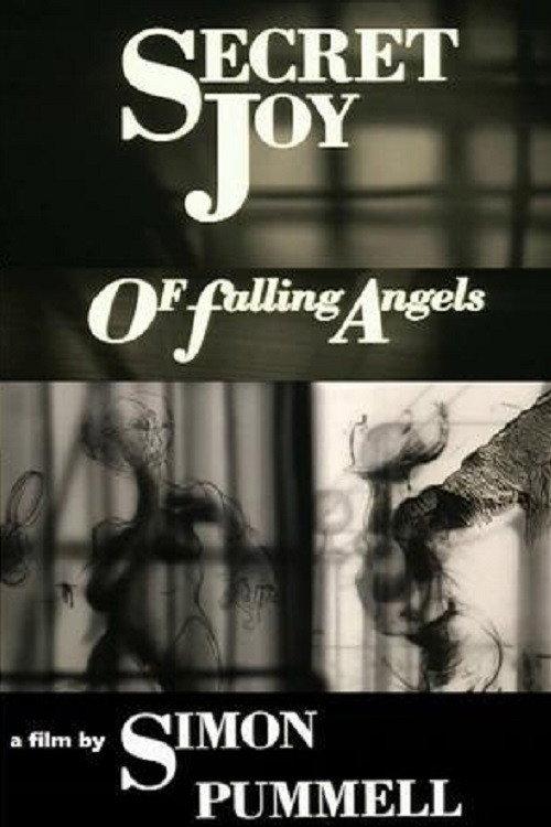 Secret Joy of Falling Angels 1991 official movie poster