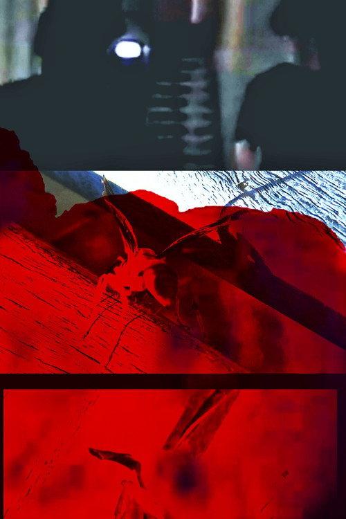 Because I felt like it  official movie poster