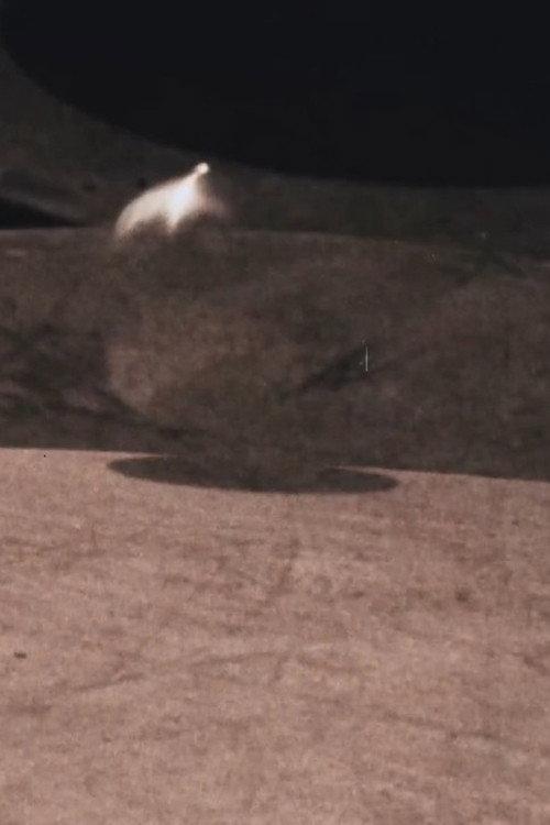 Pendulum 1978 official movie poster