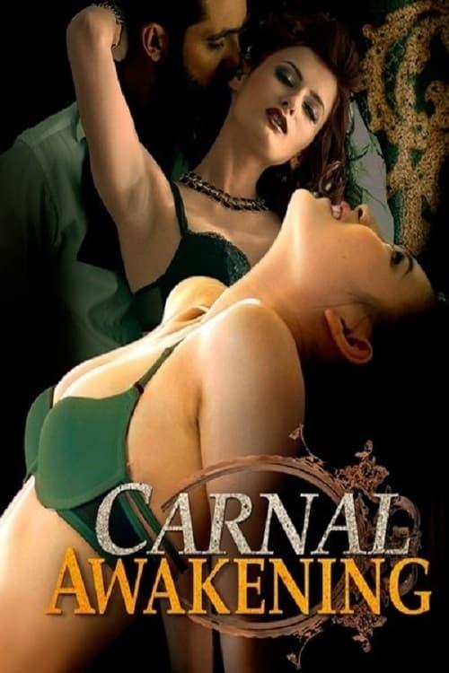 Carnal Awakening 2013 official movie poster