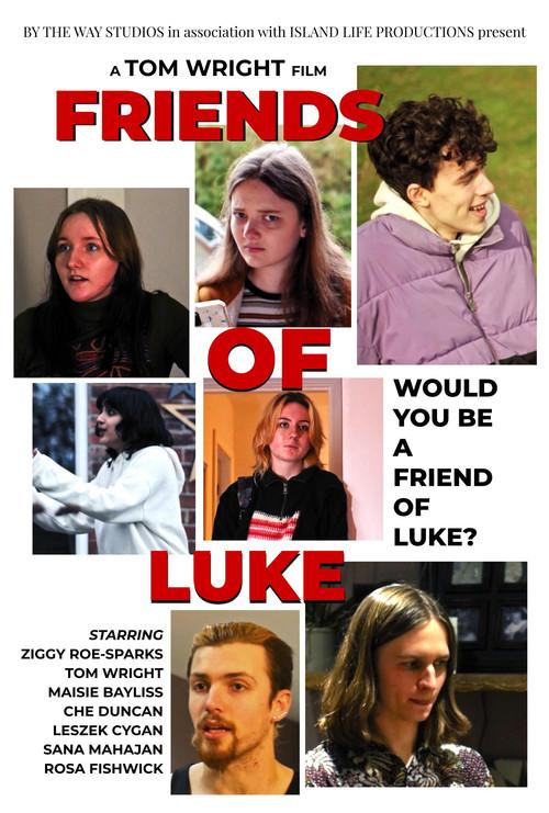 Friends of Luke 2022 official movie poster