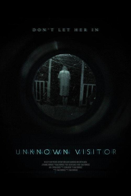 Unknown Visitor 2019 official movie poster