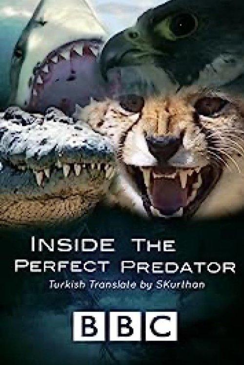 Inside the Perfect Predator 2010 official movie poster