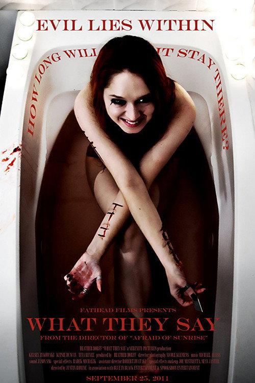 What They Say 2011 official movie poster
