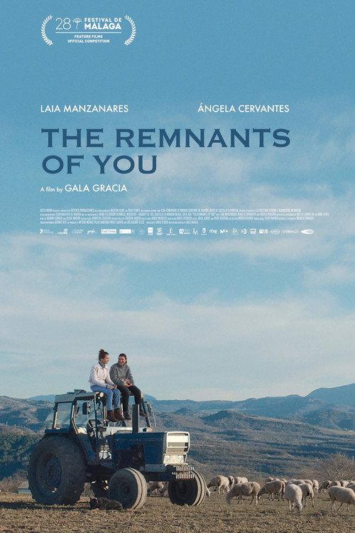 The Remnants of You 2025 official movie poster