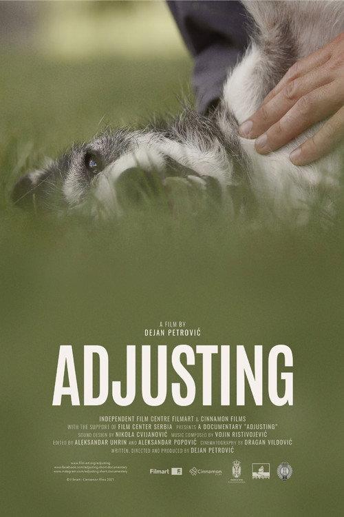 Adjusting 2021 official movie poster