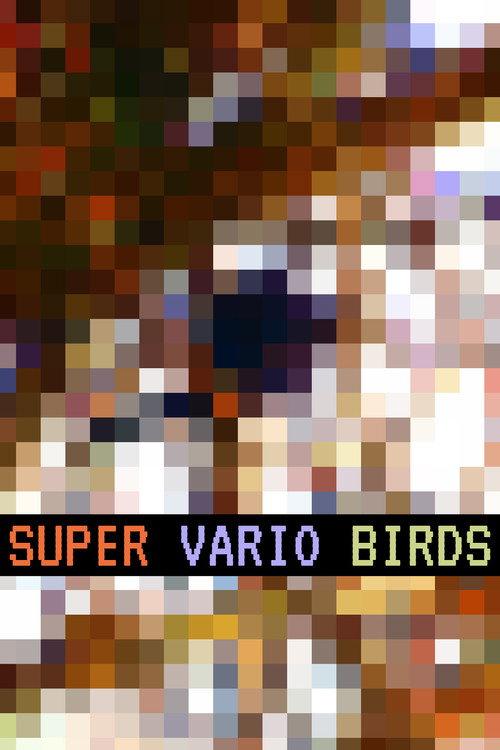 Super Vario Birds 2019 official movie poster