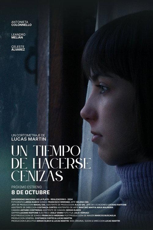Un tiempo de hacerse cenizas  official movie poster