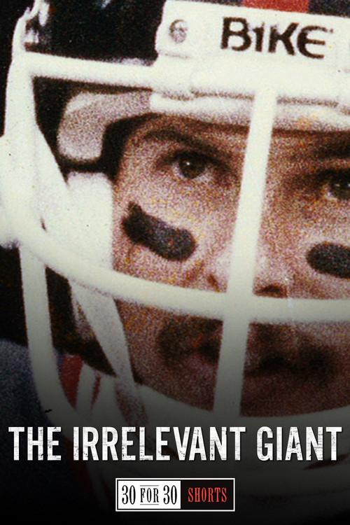 The Irrelevant Giant 2013 official movie poster