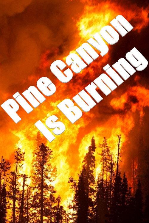 Pine Canyon Is Burning 1977 official movie poster