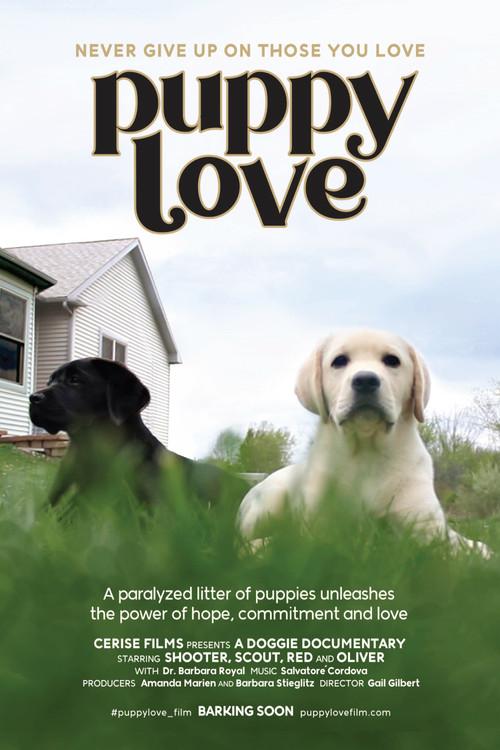 Puppy Love 2024 official movie poster