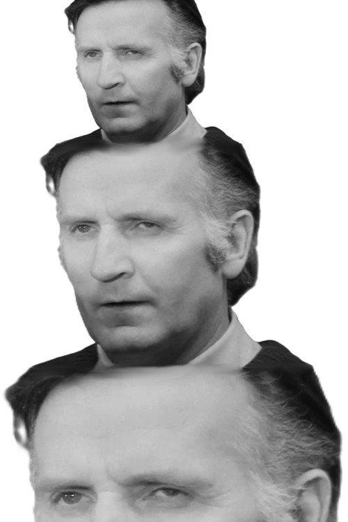 Puikas, zirgos! 1979 official movie poster