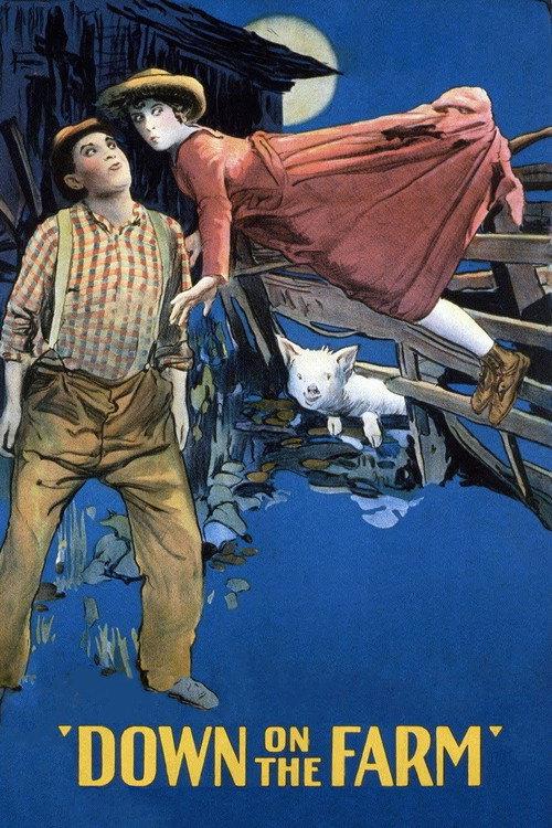Down on the Farm 1920 official movie poster