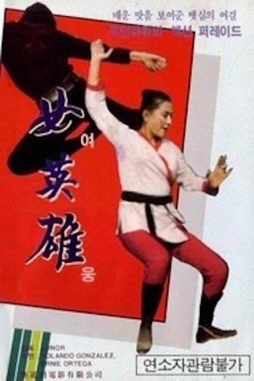 Revenge of a Lady Fighter 1973 official movie poster