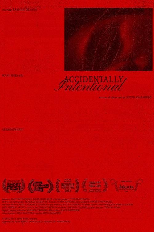 Accidentally Intentional 2023 official movie poster