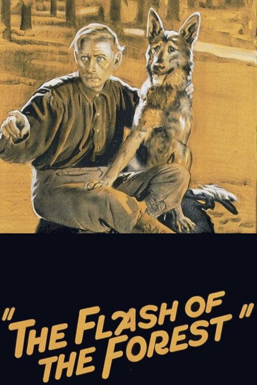 The Flash of the Forest 1928 official movie poster