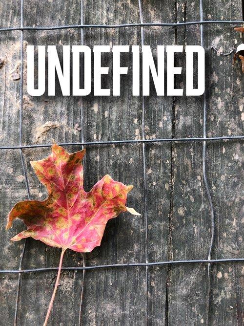 Undefined 2022 official movie poster