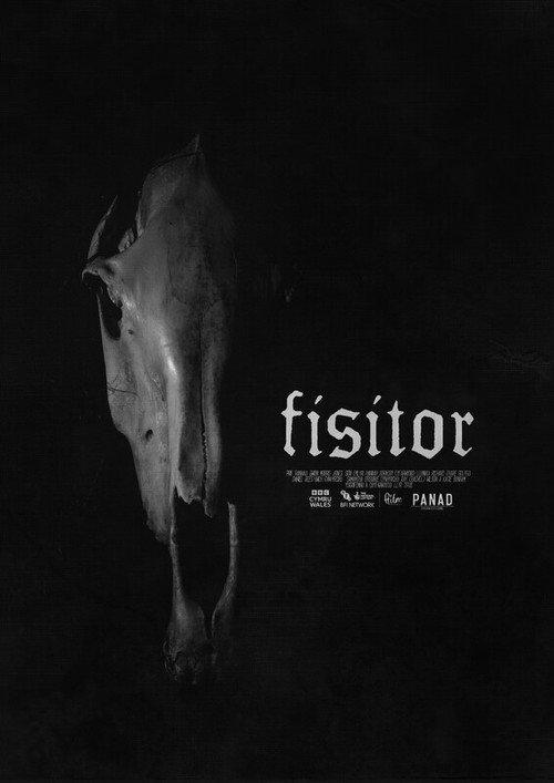 Fisitor 2024 official movie poster