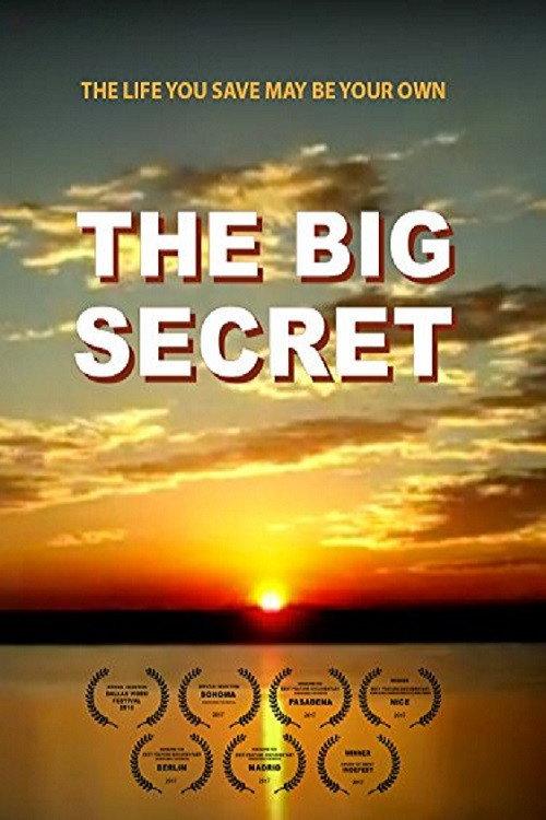 The Big Secret 2016 official movie poster