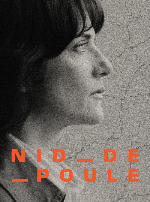 Potholes - Are our roads a public hazard? 2025 official movie poster