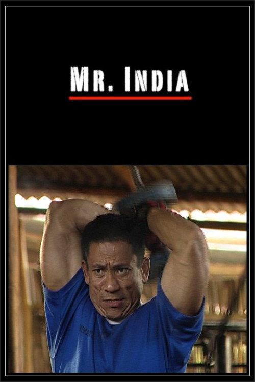 Mr. India 2009 official movie poster