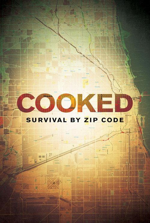 Cooked: Survival by Zip Code 2019 official movie poster