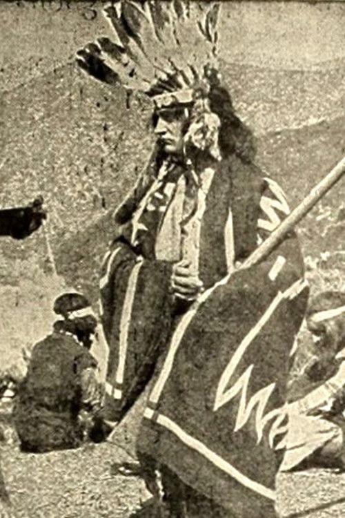 The Indian Brothers 1911 official movie poster