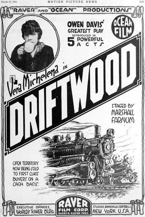 Driftwood 1916 official movie poster