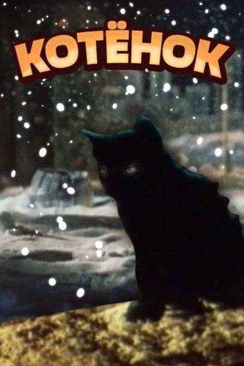 The Kitten 1979 official movie poster