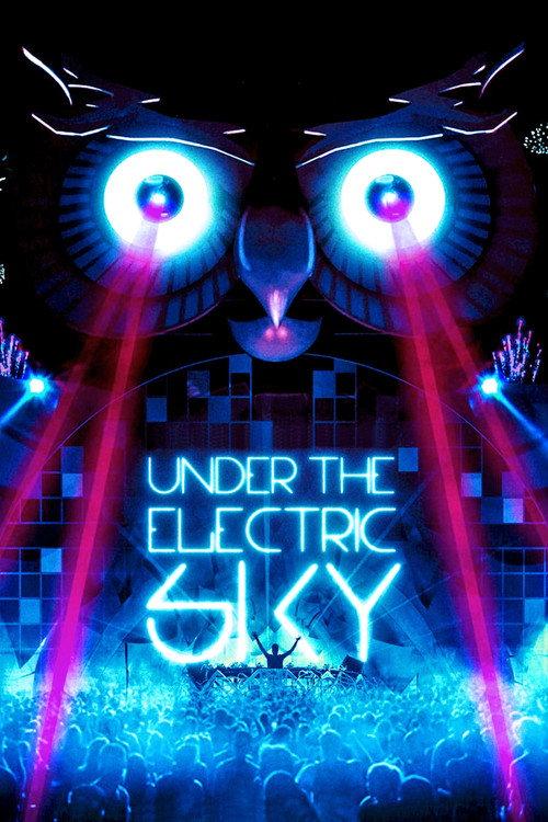 Under the Electric Sky 2014 official movie poster