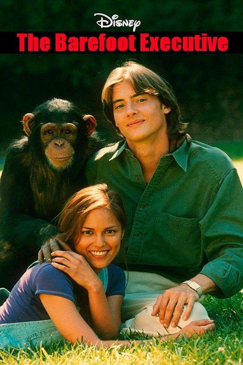 The Barefoot Executive 1995 official movie poster