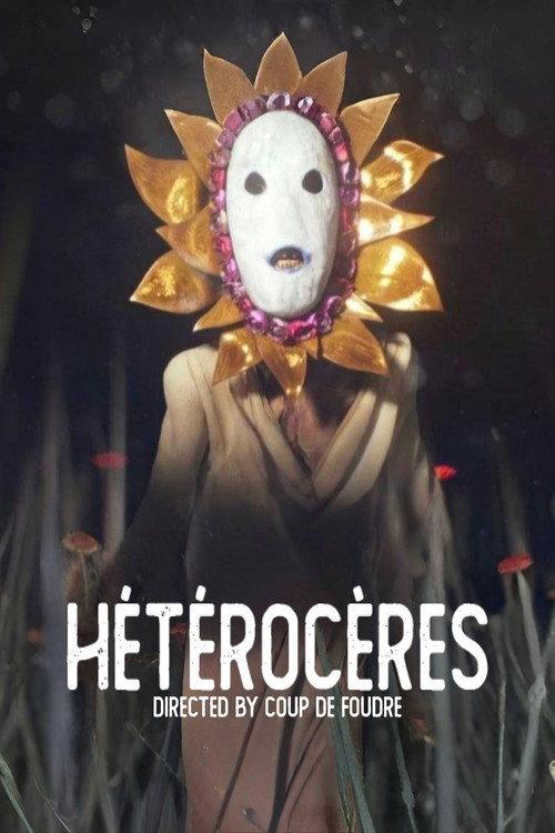 Moths 2026 official movie poster